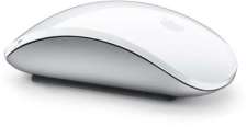 Apple Magic Mouse in Egypt