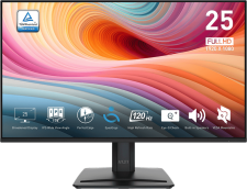 MSI PRO MP251 E2 FHD IPS Monitor in Egypt